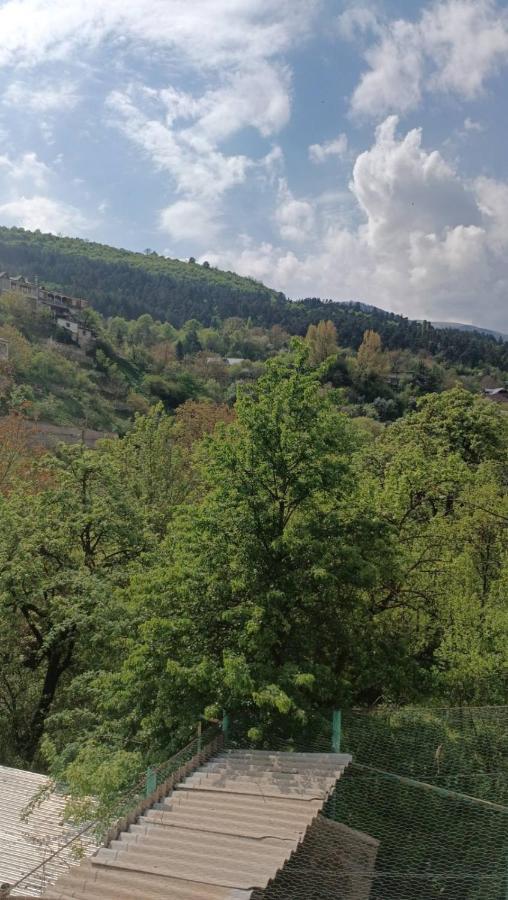 Arman Guest House Dilijan Εξωτερικό φωτογραφία