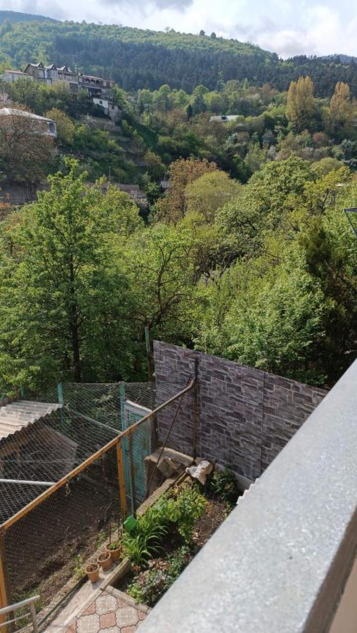 Arman Guest House Dilijan Εξωτερικό φωτογραφία