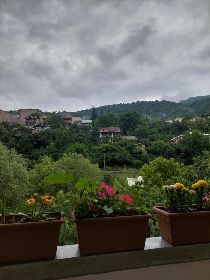 Arman Guest House Dilijan Εξωτερικό φωτογραφία
