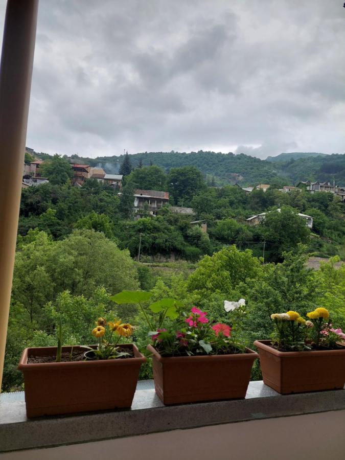 Arman Guest House Dilijan Εξωτερικό φωτογραφία
